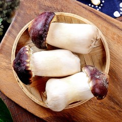 【特惠商品】绥化特产 赤松茸 2.5KG/箱 营养丰富，菇香浓郁 包邮