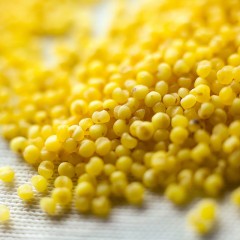 【特惠商品】肇东特产 谷根香 有机小米 400g*2袋 圆润饱满，米香浓郁 包邮