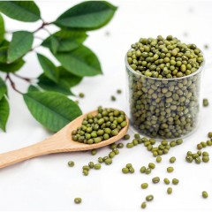 【特惠商品】肇东特产 谷根香 有机绿豆 370g*2袋 皮薄肉厚 圆润丰盈 包邮