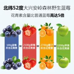 【特惠商品】大兴安岭特产 林野小铺蓝莓原浆 100ml*8瓶 包邮