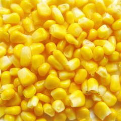 龙江特产 三江金穗子真空玉米粒 250g*3袋 新鲜味美口感好 包邮