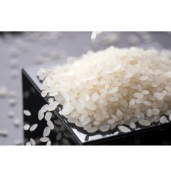 【特惠商品】五常特产 地之金五常大米青花瓷5kg 米粒透亮，弹韧绵滑 包邮