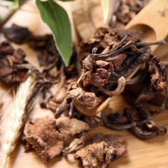 【特惠商品】 黑河特产 北纬49榛蘑 200克*2袋 新鲜采摘，自然晾干 包邮