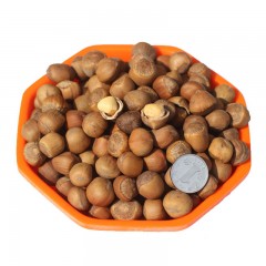 龙江特产 龙女森林榛子250g*2袋 休闲零食，坚果炒货 包邮