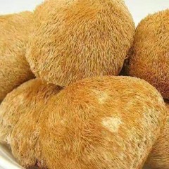 龙江特产 龙女森林猴头菇250g*2袋 山珍野味，绿色健康 包邮
