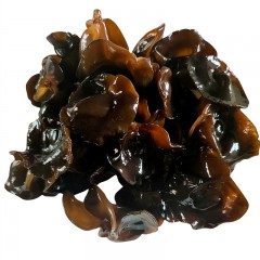 【特惠商品】鸡西特产 吉龙山湖泉水木耳 250克 肉质厚实，脆嫩爽口 包邮