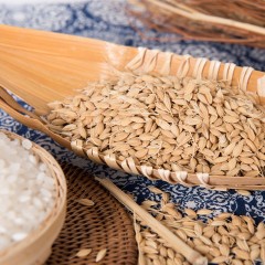 【特惠商品】牡丹江特产 先米古稻 香槟金真空石板贡米 包邮