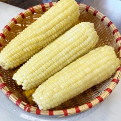 【特惠商品】鸡西特产 金城青食 速冻鲜食玉米 40穗 甜糯可口  包邮