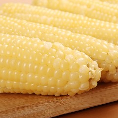【特惠商品】汤原县特产 业一 甜糯玉米（白色，黄色随机发）40穗 包邮