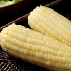 【特惠商品】汤原县特产 业一 甜糯玉米（白色，黄色随机发）20穗 包邮