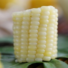 【特惠商品】汤原县特产 业一 甜糯玉米（白色，黄色随机发）20穗 包邮