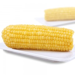 【特惠商品】绥化特产 李家笨米 速冻甜糯玉米（黄）10穗 甜糯可口，冷藏贮存 包邮