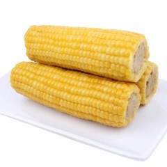 【特惠商品】绥化特产 李家笨米 速冻甜糯玉米（黄）10穗 甜糯可口，冷藏贮存 包邮