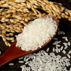 黑龙江特产 知青部落有机稻花香礼盒 1kg×5/盒 寒地黑土原生态，粒粒晶莹入口软糯 包邮