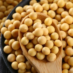 黑龙江特产 知青部落有机黄豆 400g*5块 严格精选，颗粒饱满均匀 包邮