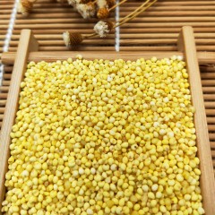 黑龙江特产 知青部落大黄米 370g*5块 寒地黑土原生态，手工精选营养丰富 包邮
