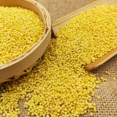 黑龙江特产 知青部落大黄米 370g*5块 寒地黑土原生态，手工精选营养丰富 包邮