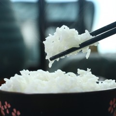 【特惠商品】七台河特产 北农珍选稻花香米 5kg 米香浓郁 包邮