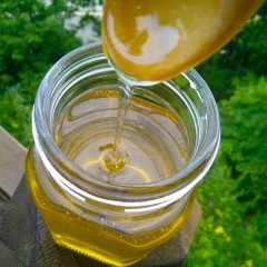 【特惠商品】虎林市特产 盛山堂珍宝岛蜂蜜礼盒 500g*2瓶 晶莹剔透、浓稠橙黄 包邮