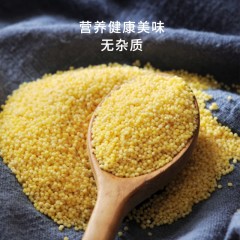 【特惠商品】齐齐哈尔特产 广集源小米 500克 清香可口，香糯粘稠 包邮