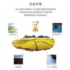 【特惠商品】齐齐哈尔特产 广集源小米 500克 清香可口，香糯粘稠 包邮