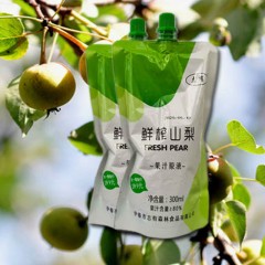 【特惠商品】伊春特产 志有鲜榨山梨果汁饮料 300ml*8袋/箱 果香清新、入口中顺滑 包邮