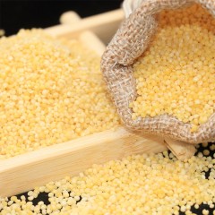 龙江特产 泉家香小米 500g*10盒 色泽金黄、颗粒饱满 包邮