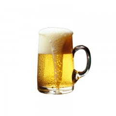 龙江特产 新北国啤酒 新北国特制啤酒 480ml×12瓶 口味纯正、醇厚 仅限绥滨自取