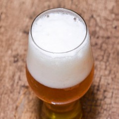 龙江特产 新北国啤酒 新北国特制啤酒 480ml×12瓶 口味纯正、醇厚 仅限绥滨自取