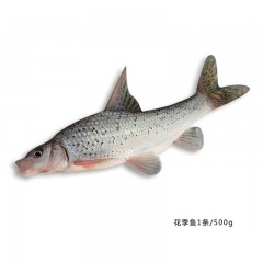 龙江特产 三花五罗 黑龙江江鱼礼盒 花季鱼1斤+大白鱼2斤 年货大礼包168礼盒 包邮