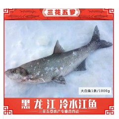 龙江特产 三花五罗 黑龙江江鱼礼盒 花季鱼1斤+大白鱼2斤 年货大礼包168礼盒 包邮