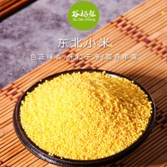 龙江特产 谷稻张 东北小米 500g*4袋 优质五谷杂粮 农家自产小黄米 包邮