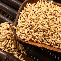 龙江特产 米稻乡燕麦米 800g 古法种植，无杂质 包邮