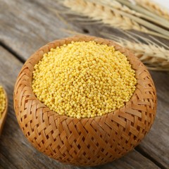 龙江特产 米稻乡大黄米 800g 古法种植，无杂质 包邮
