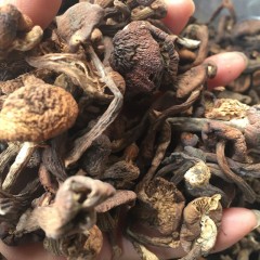 龙江特产 米稻乡山珍大礼包 4盒*150g/袋 直接采摘，原色原味 包邮