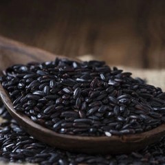 龙江特产 米稻乡黑米 800g 形态均匀，质地饱满 包邮