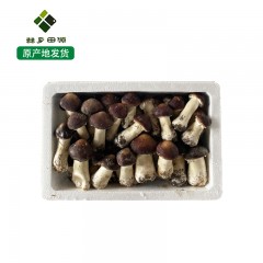 龙江特产 赫乡田源赤松茸鲜品 2.5kg/箱 口感好，营养丰富 包邮