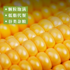龙江特产 绿塔速冻儿童玉米 26棒/箱 鲜食多汁、皮薄肉嫩 包邮