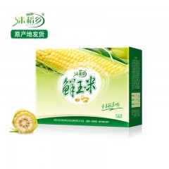龙江特产 米稻乡鲜玉米 10穗/盒 甜糯可口，老少皆宜 包邮