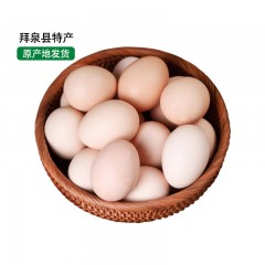 【特惠商品】【扶贫产品】拜泉县特产 土鸡蛋 100个/箱 绿色健康无污染 包邮
