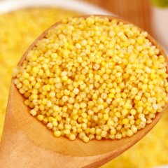 龙江特产 隆盛河小米 500g*8袋/盒 小米粥黄粘适口，唇齿浓香，香味浓郁 包邮