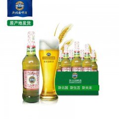 龙江特产 新北国啤酒 新北国特制啤酒 480ml×12瓶 口味纯正、醇厚 仅限绥滨自取