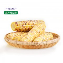 【特惠商品】五常特产 连二红旗花玉米 2.5kg 颗粒饱满、口感甜糯 包邮