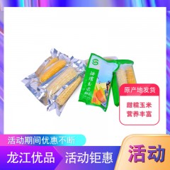 【特惠商品】汤原县特产 业一 甜糯玉米（白色，黄色随机发）9穗 包邮
