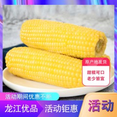 【特惠商品】嫩江县特产 极境寒养有机玉米（混合装）12棒/箱 甜糯可口，老少皆宜 包邮