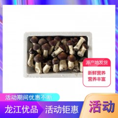 龙江特产 赫乡田源赤松茸鲜品 2.5kg/箱 口感好，营养丰富 包邮