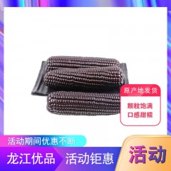 【特惠商品】五常特产 连二红旗黑玉米 约2kg 颗粒饱满，香糯不甜 包邮