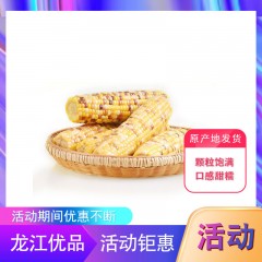 【特惠商品】五常特产 连二红旗花玉米 2.5kg 颗粒饱满、口感甜糯 包邮