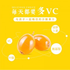 【特惠商品】鸡西特产 雪灯笼棘汁蜜沙棘果汁 300毫升*12罐/箱 口感酸甜，富含vc 包邮