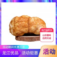 【特惠商品】海林市特产 海麟玉品干猴头菇 500克 山珍菌味，自然天成 包邮
